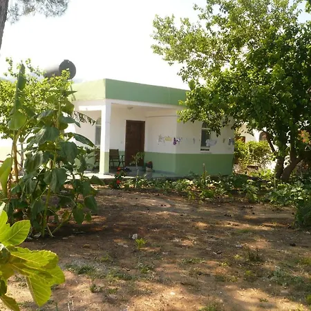 Kiyi Guest house Cirali