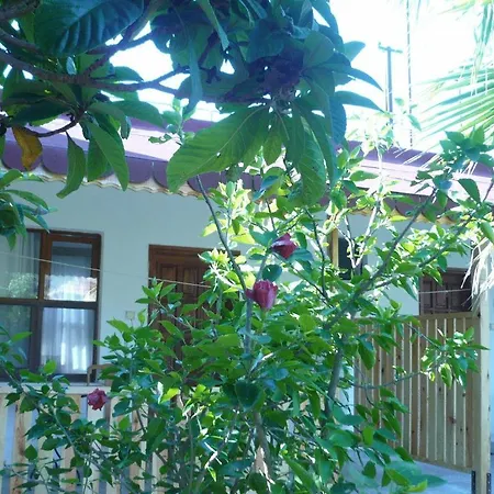 Guest house Kiyi