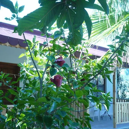 Guest house Kiyi *